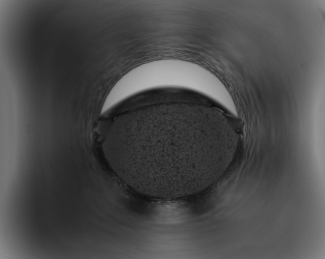 X0000093120235200710101046