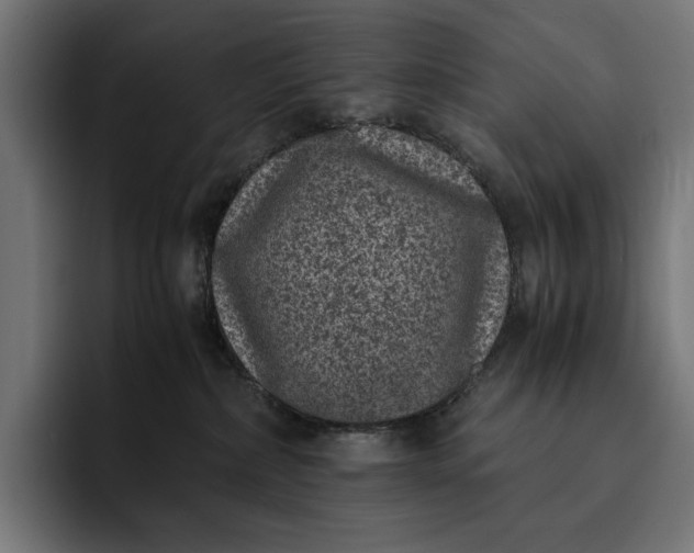 X0000093120236200710101046