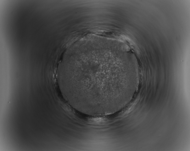 X0000093120237200710101046