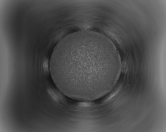 X0000093120238200710101046