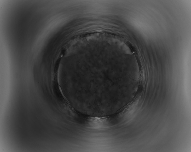 X0000093120239200710101046