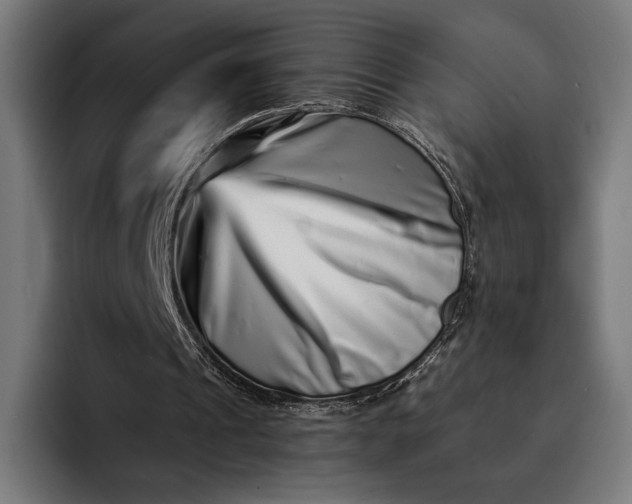 X0000093120241200710101045