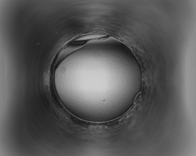 X0000093120242200710101045