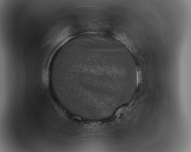 X0000093120243200710101045