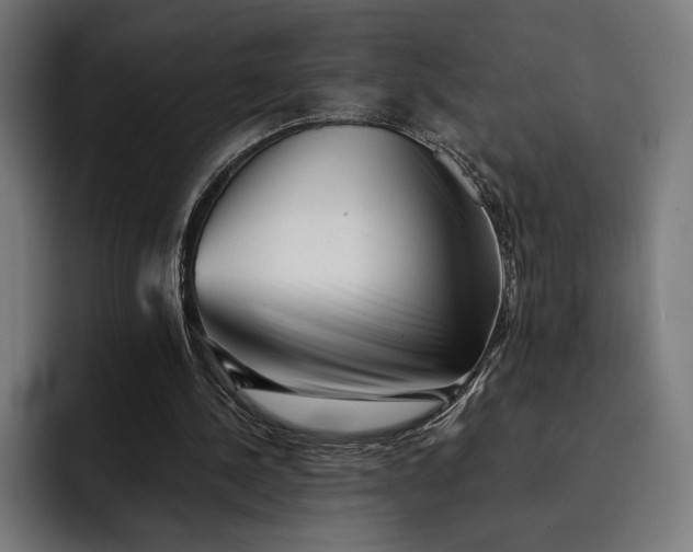 X0000093120244200710101045