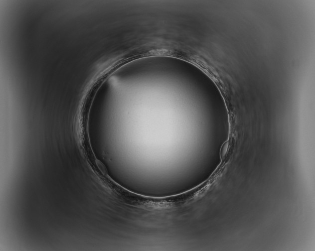 X0000093120245200710101045