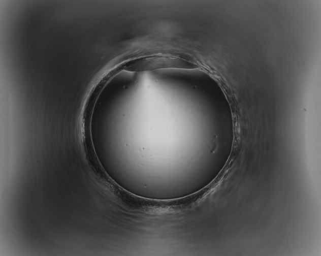 X0000093120246200710101045