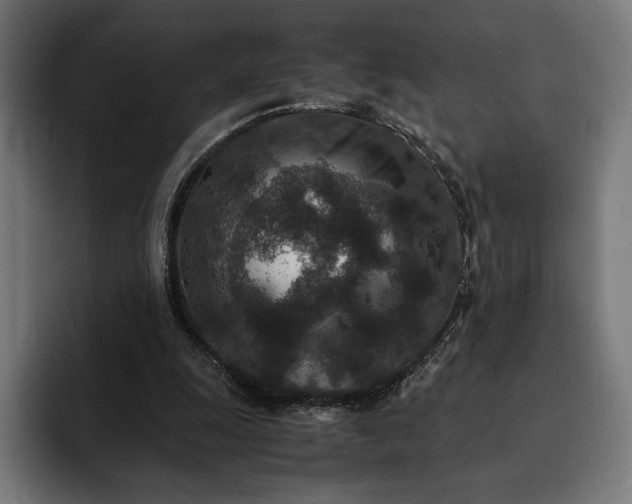 X0000093120247200710101045