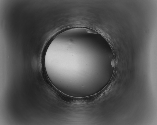 X0000093120248200710101045