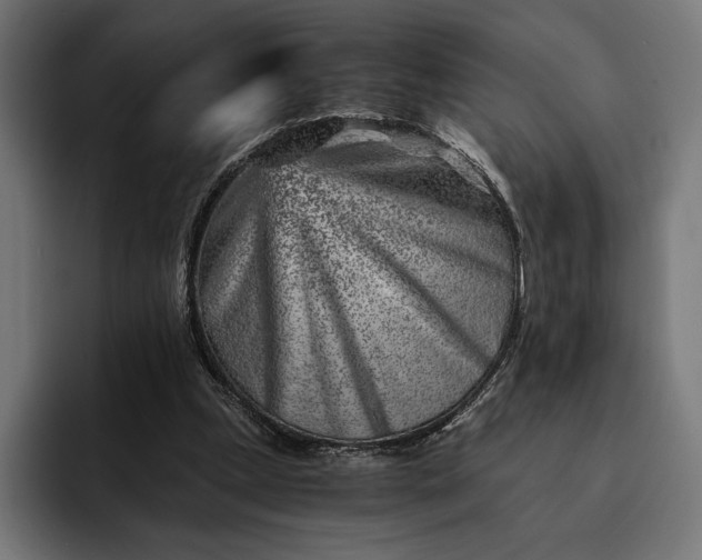 X0000093120249200710101045