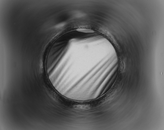 X0000093120251200710101046