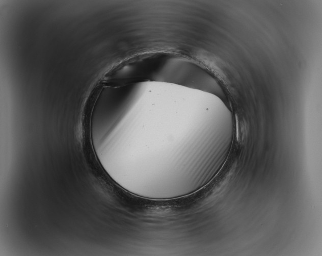 X0000093120252200710101046