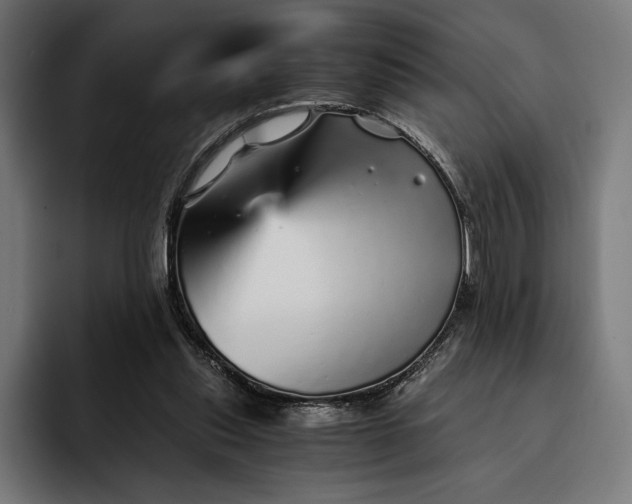 X0000093120253200710101046