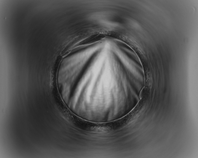 X0000093120255200710101046