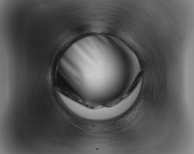 X0000093120256200710101046