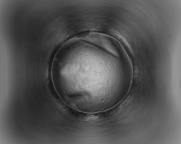 X0000093120257200710101046