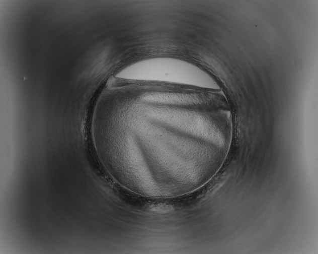 X0000093120258200710101046