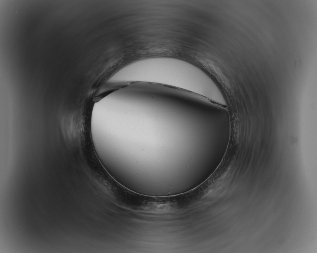 X0000093120260200710101046