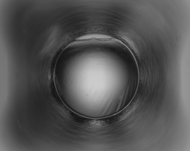 X0000093120261200710101046