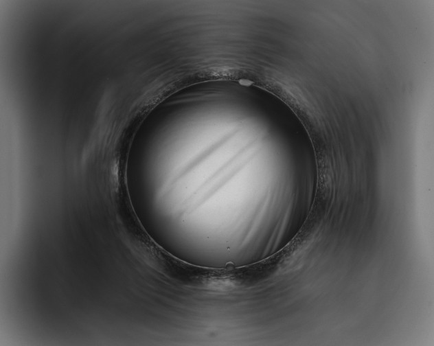 X0000093120262200710101046