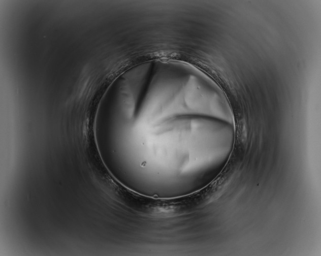 X0000093120263200710101046