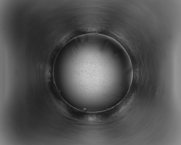 X0000093120264200710101046