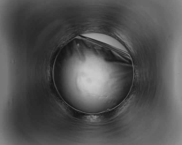 X0000093120265200710101046