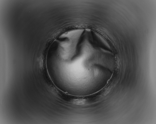 X0000093120266200710101046