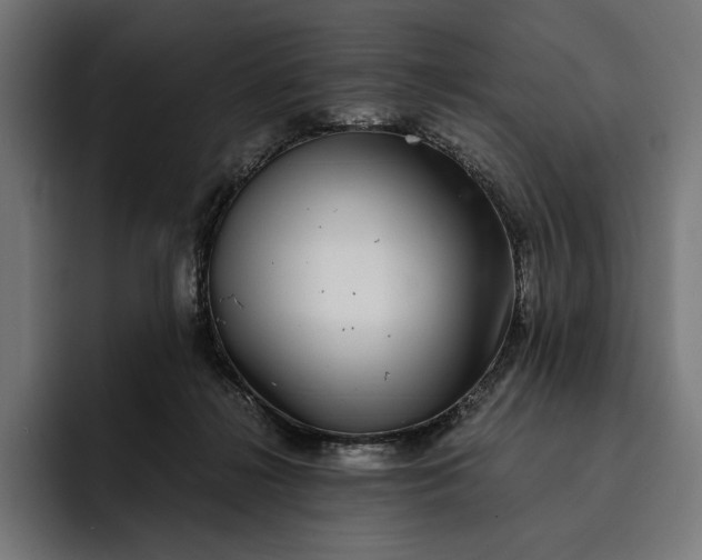 X0000093120268200710101046