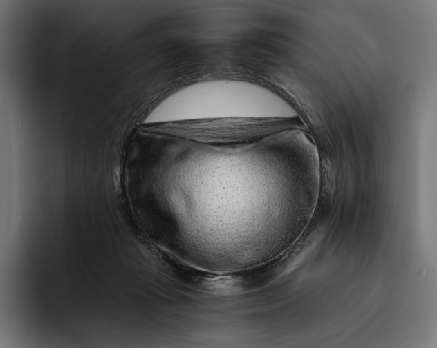 X0000093120269200710101046