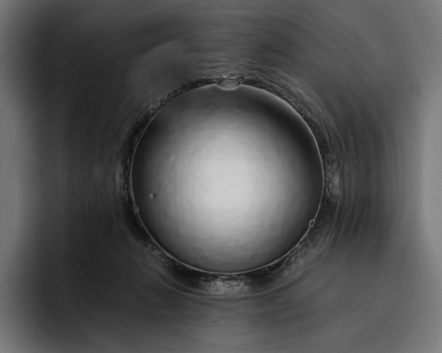 X0000093120270200710101046