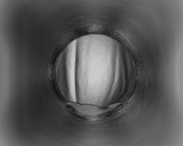 X0000093120273200710101046