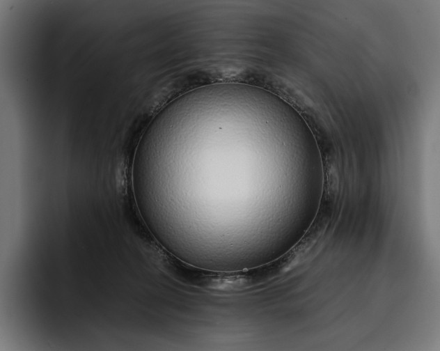 X0000093120274200710101046