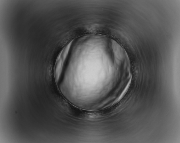 X0000093120275200710101046