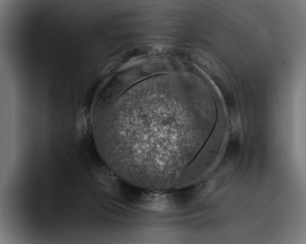 X0000093120276200710101046