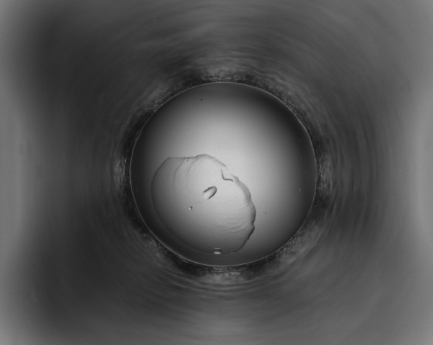 X0000093120278200710101046