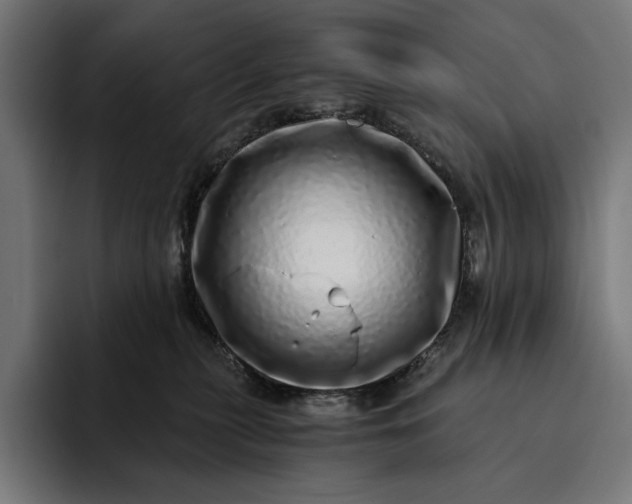 X0000093120279200710101046