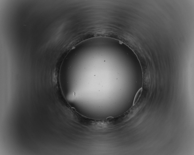 X0000093120282200710101046