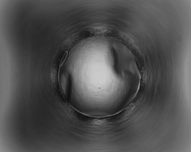 X0000093120283200710101046