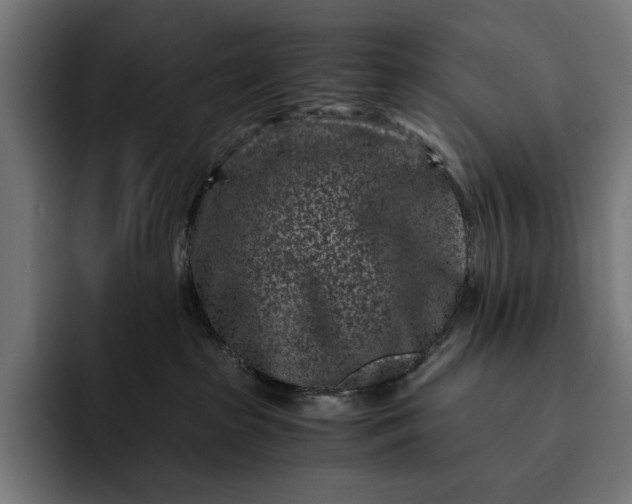 X0000093120285200710101046