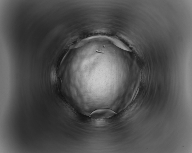 X0000093120287200710101046