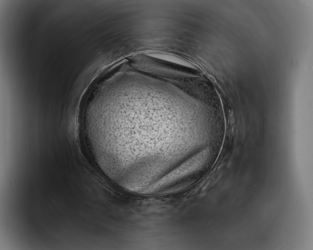 X0000093120290200710101045