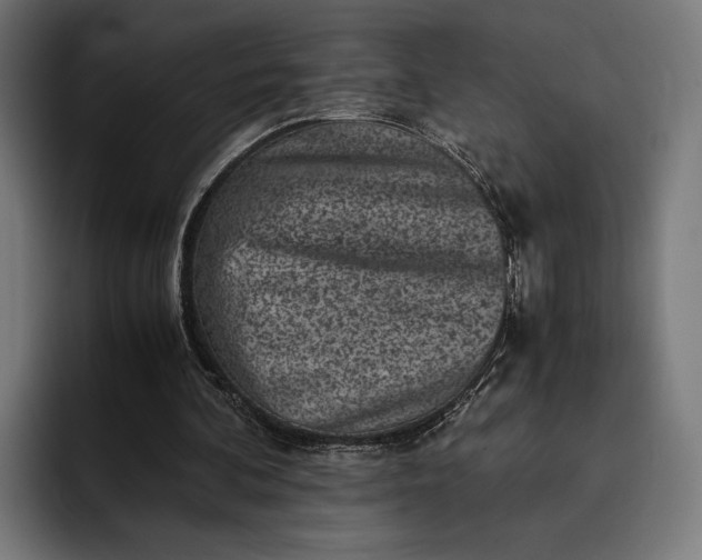 X0000093120292200710101045