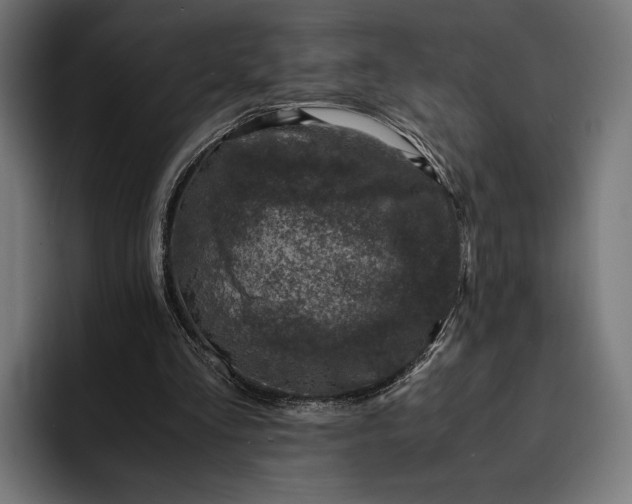 X0000093120293200710101045