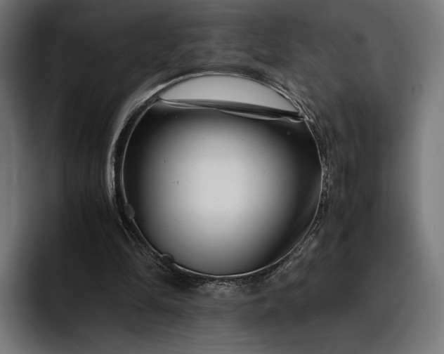 X0000093120294200710101045