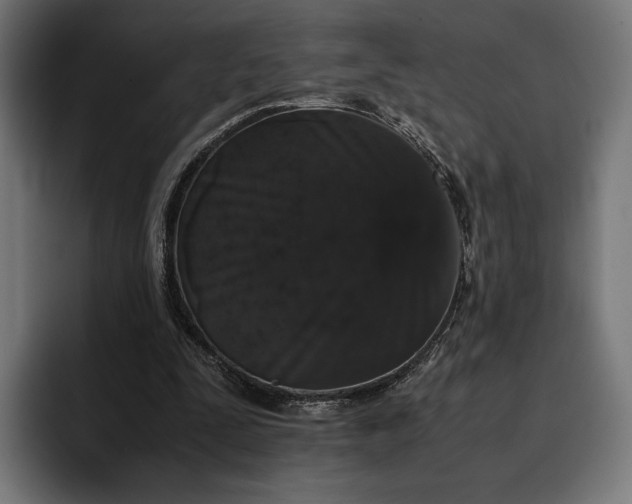 X0000093120295200710101045