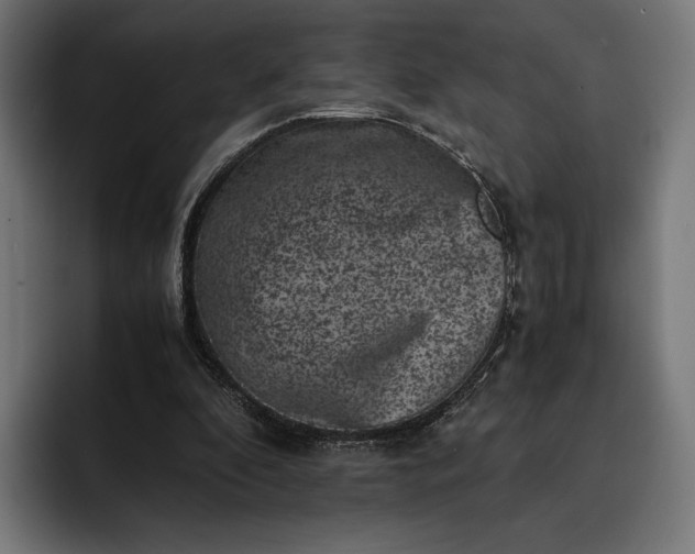 X0000093120296200710101045