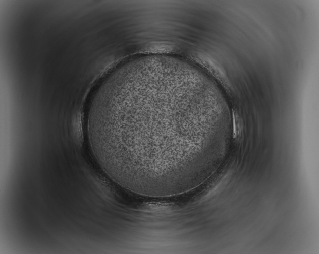 X0000093120300200710101045