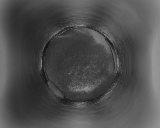 X0000093120301200710101045