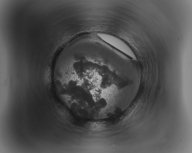 X0000093120303200710101045